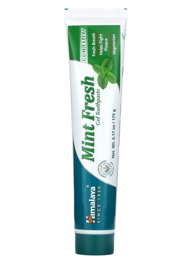 Mint Fresh Gel Toothpaste Indian Dill - Mint 6.17 oz (175 g)