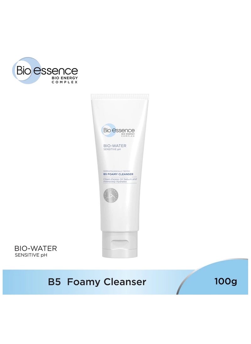 B5 Bio-Water Foamy Cleanser (100g)