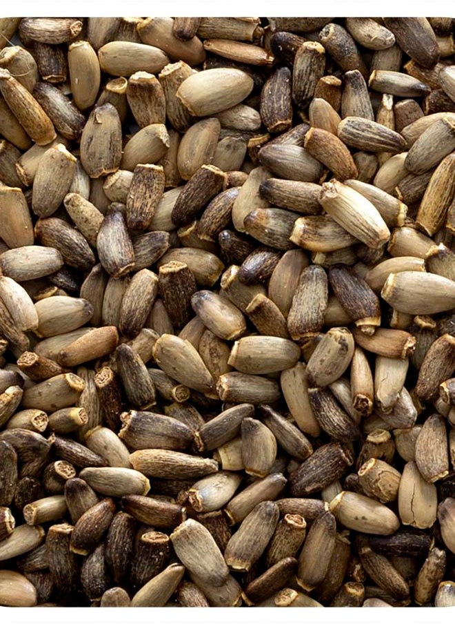 Whole Milk Thistle Seed 16 oz (453 g)