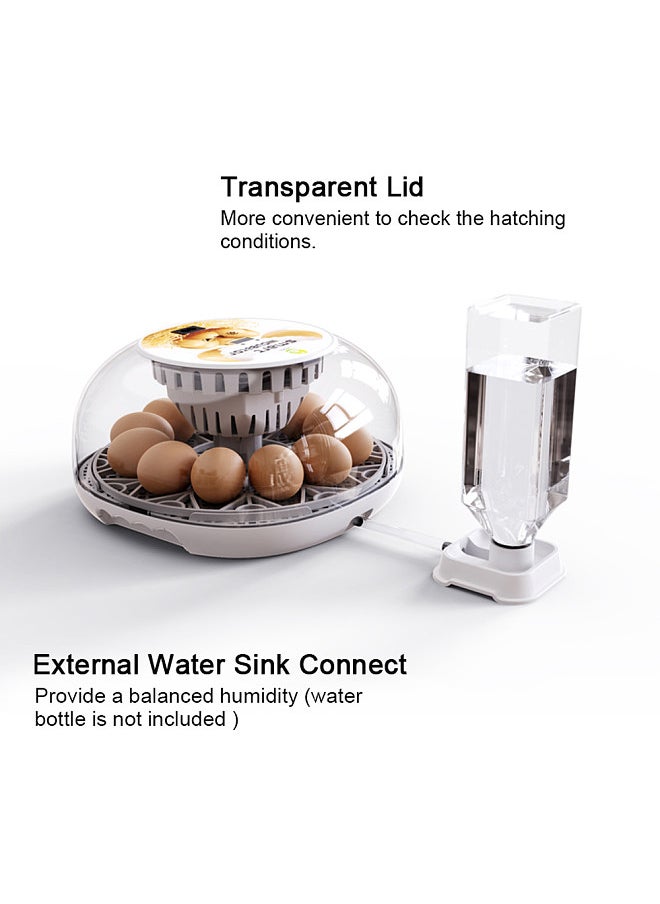 Poultry Hatchery Farm Bird Chicken Egg Incubator, Incubation Tools, with Automatic Egg Turning, Led Egg Test Lamp, Clear Lid, Easy to Wash