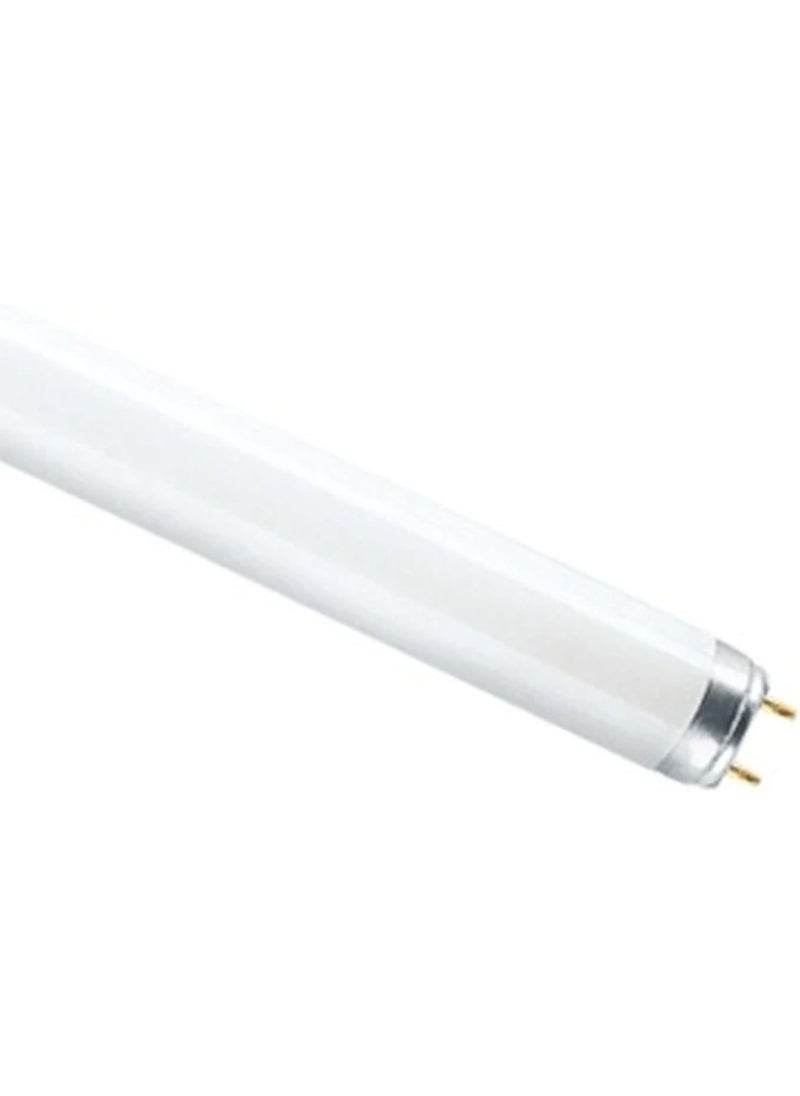 Osram/ Ledvance Lumilux Fluorescent Tube Light T8 Basic L 18 Watts 3000k Warm white 0.6 m- Pack of 10