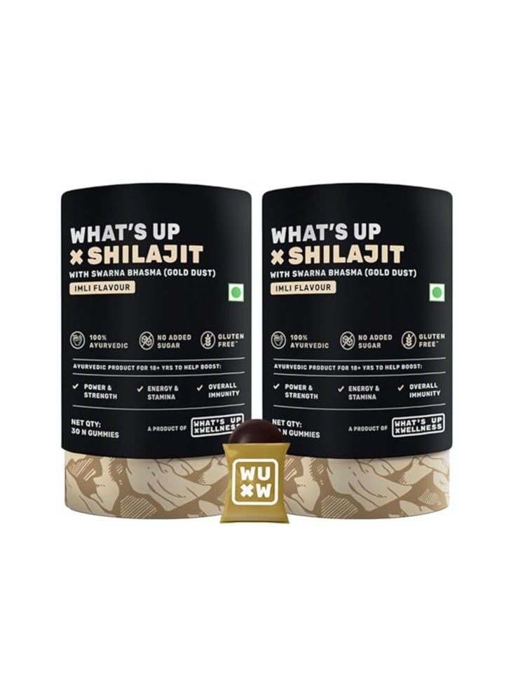 Wellness ShilajIt Resin Gummies 200 Mg Resin With 24 Carat Gold Dust No Added Sugar Pack Of 2