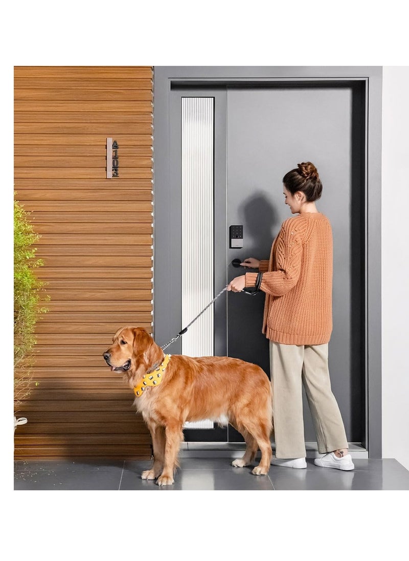 Smart Door Lock U100 with E1 Hub Kit and 2x NFC cards DL-D01D Silver Global Version