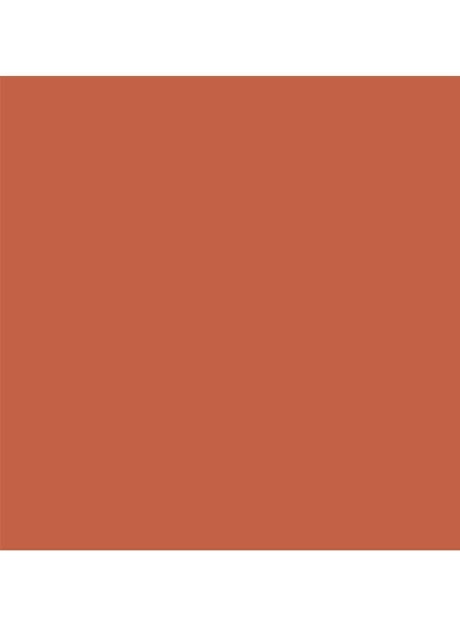 Painter's Touch 2X Ultra Cover Satin Paint And Primer Spray Cinnamon