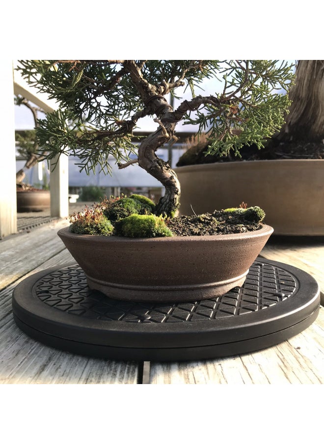 Mighty Mini Bonsai Tree Turntable 12.5