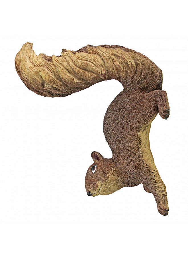 Design Toscano NG34034 Simone The Squirrel Woodland Decor Hanging Garden Statue, 8 Inch, Full Color