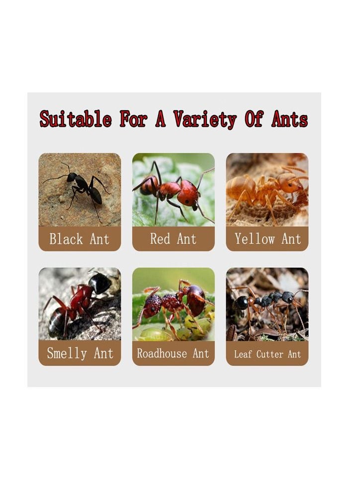 1-Bag 3G Powerful Ant Bait Agent, Special Effect Indoor and Outdoor Low Toxicity and Odorless Bait Powder