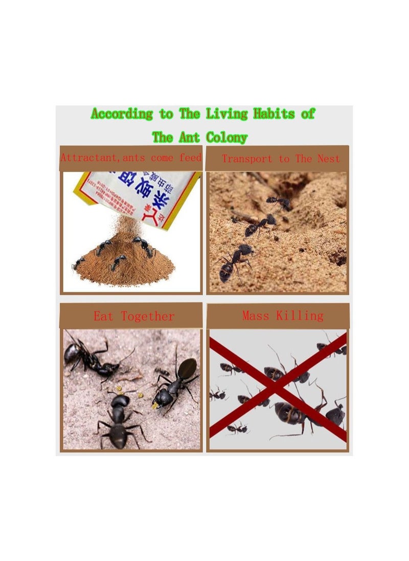 1-Bag 3G Powerful Ant Bait Agent, Special Effect Indoor and Outdoor Low Toxicity and Odorless Bait Powder