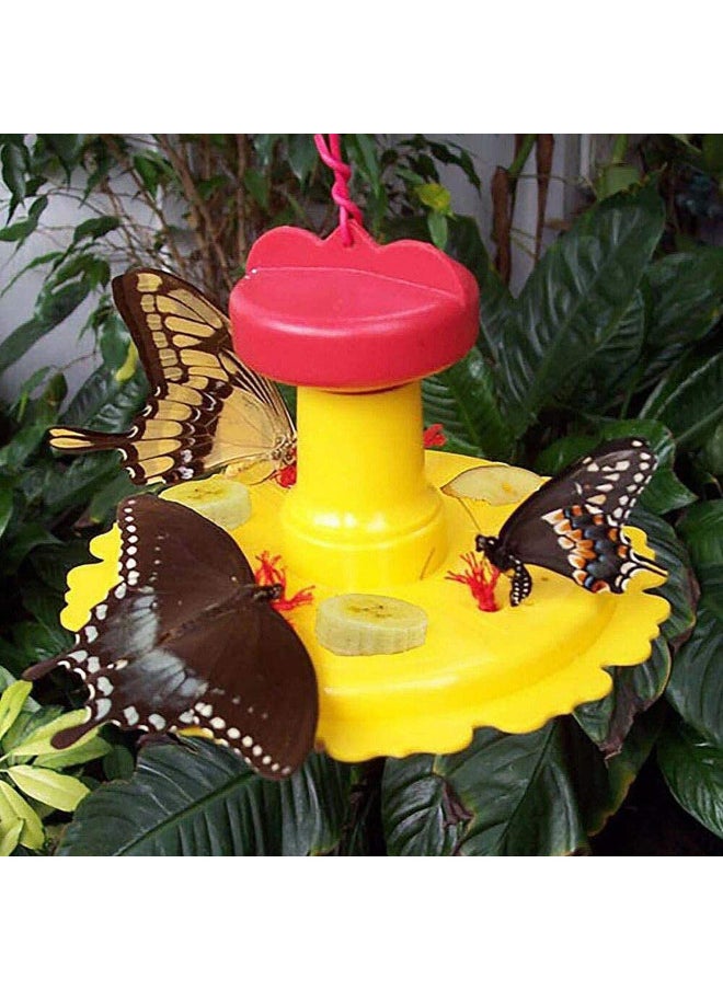 Songbird Essentials SE78215 Butterfly Feeder/Nectar Combo (Set of 1)