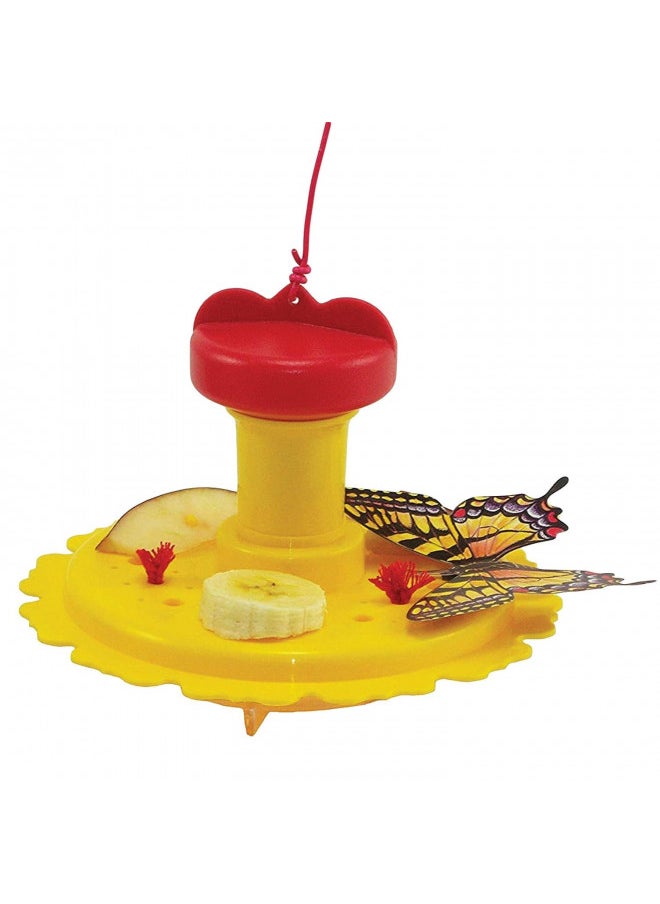 Songbird Essentials SE78215 Butterfly Feeder/Nectar Combo (Set of 1)