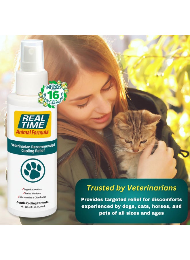 Real Time Pain Relief Pet Formula, 4 Ounce Spray Bottle