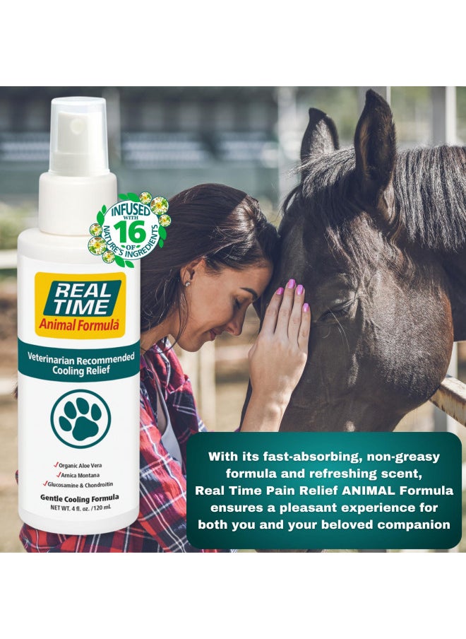 Real Time Pain Relief Pet Formula, 4 Ounce Spray Bottle