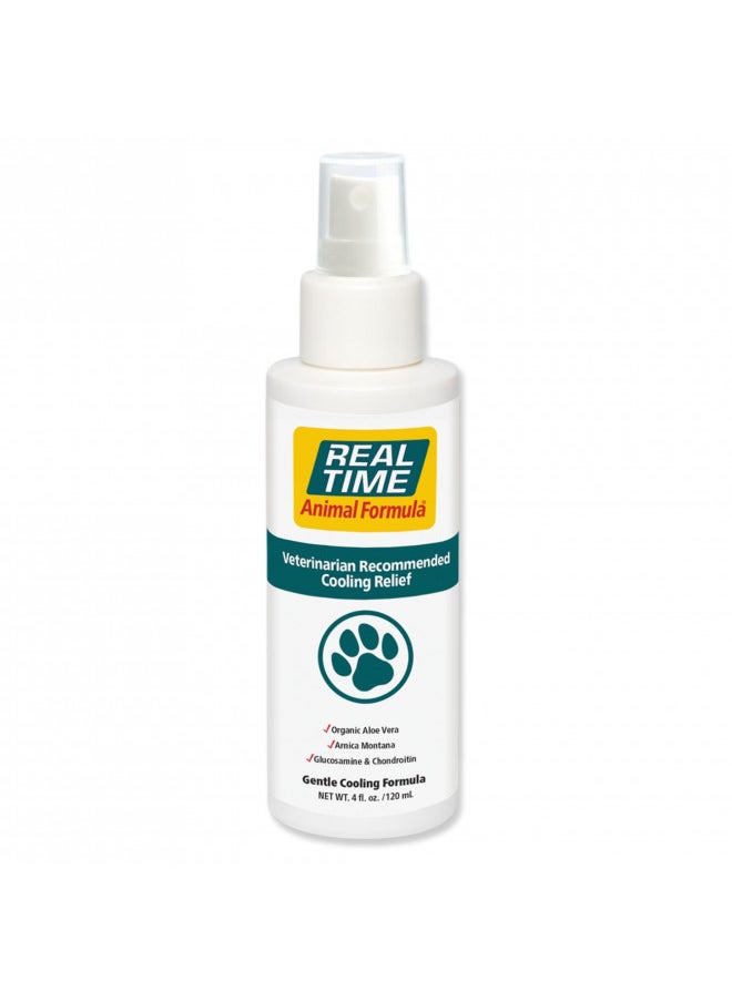 Real Time Pain Relief Pet Formula, 4 Ounce Spray Bottle