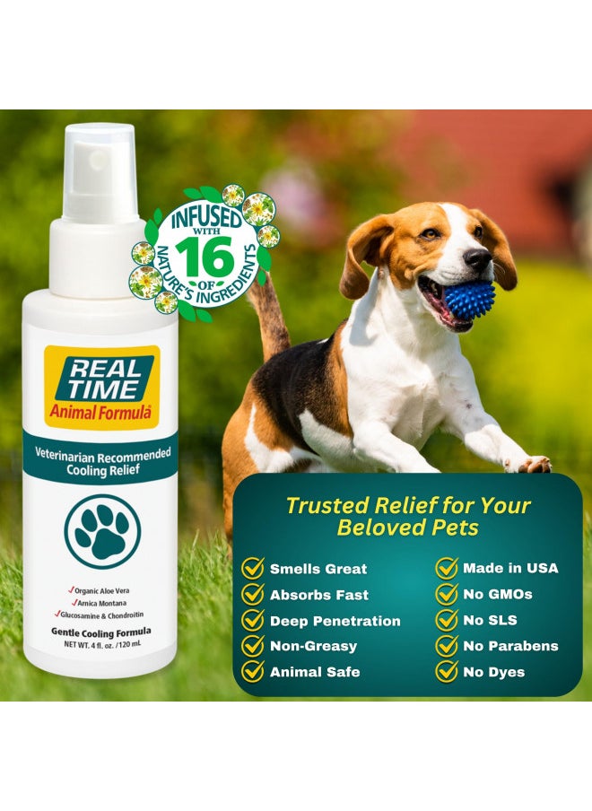 Real Time Pain Relief Pet Formula, 4 Ounce Spray Bottle