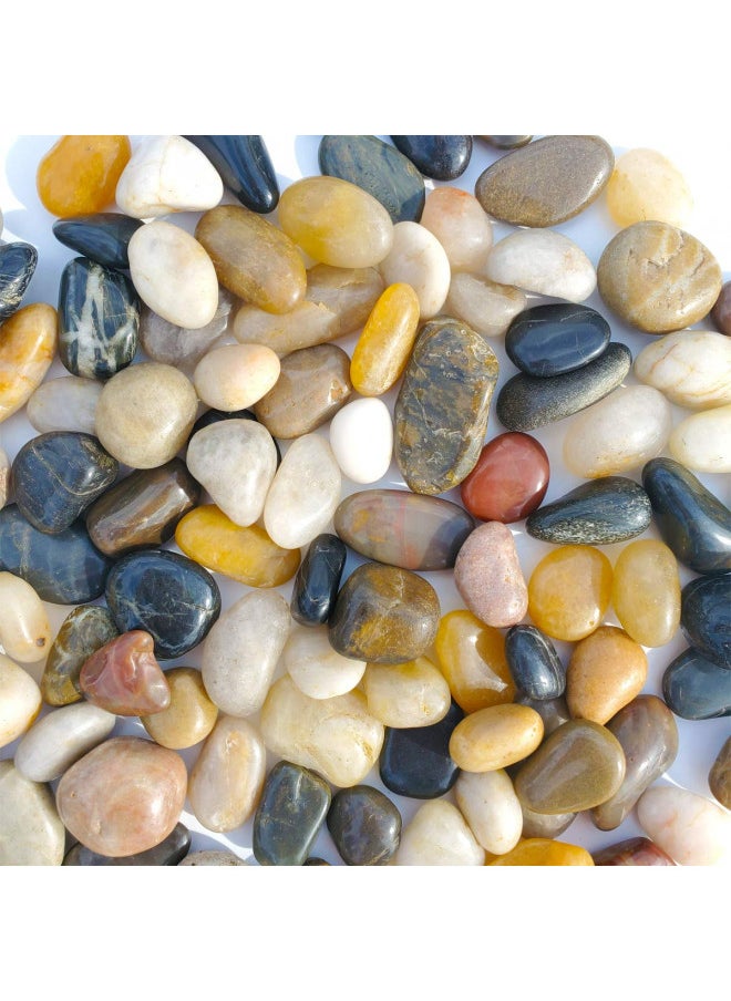 SACKORANGE 2 LB Aquarium Gravel River Rock - Natural Polished Decorative Gravel, Small Decorative Pebbles, Mixed Color Stones,for Aquariums, Landscaping, Vase Fillers (32-Oz)