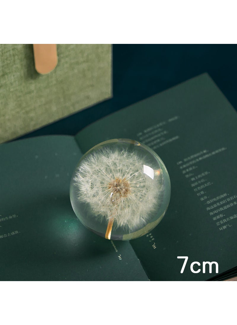 Dandelion single ball music box gift for girlfriend wooden crystal ball female birthday gift slightly flaw clearance M2 7cm ball (micro flaw, mind carefully!)