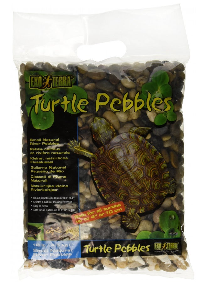 Exo Terra Turtle Pebbles, Small