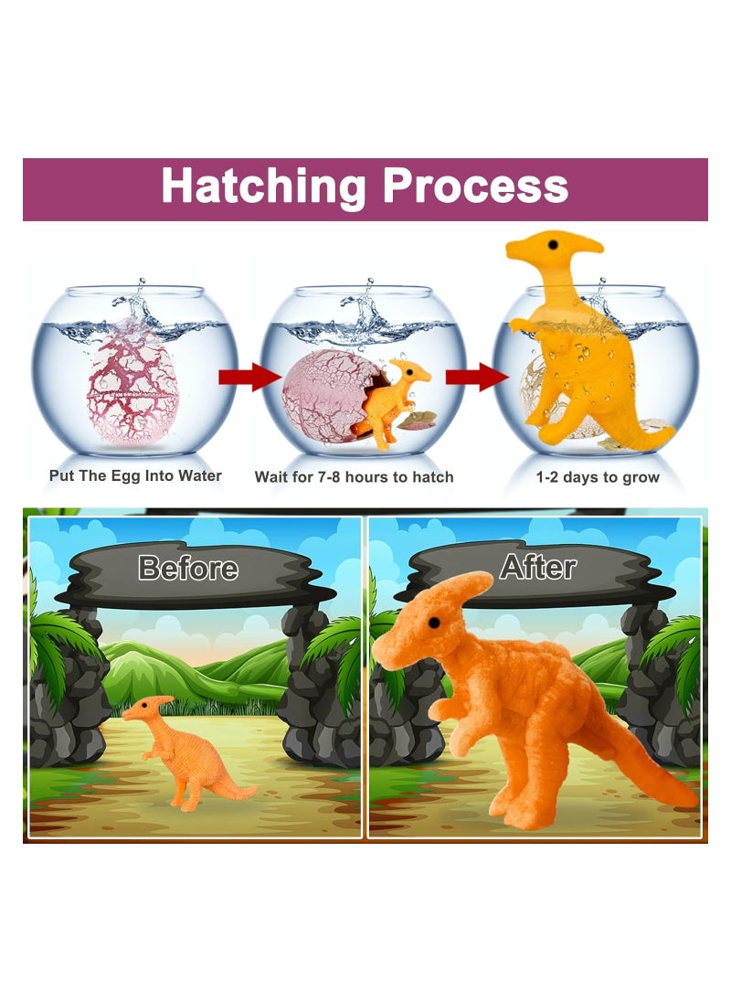 6 Pack Hatching Growing Dinosaur Toys 3.2