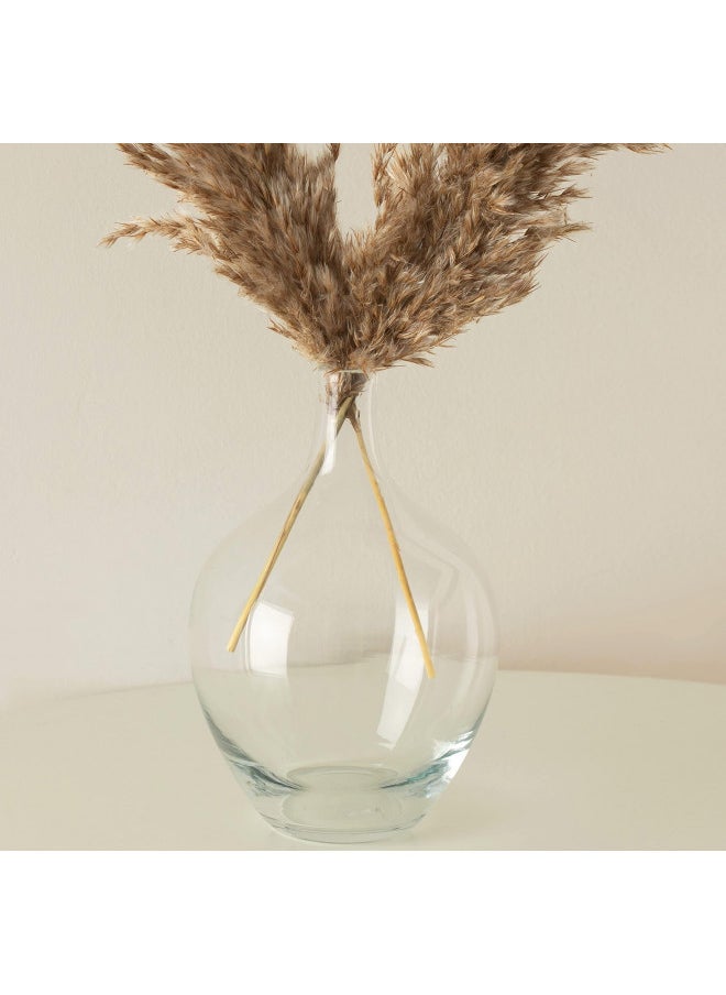 Small Glass Decorative Vase for Pampas Grass Flowers for Decor for Dining Table Centerpiece for Living Room Home, Shelf, Demijohn, 7.9 inch Tall, Clear