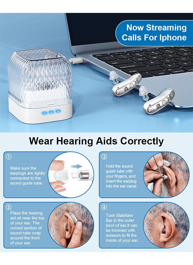 Rechargeable Hearing Aids, Invisible Behind The Ear Hearing Amplifiers, Magnetic Assistive Listening Devices for Adults and Seniors with Noise Cancelling (Silver)