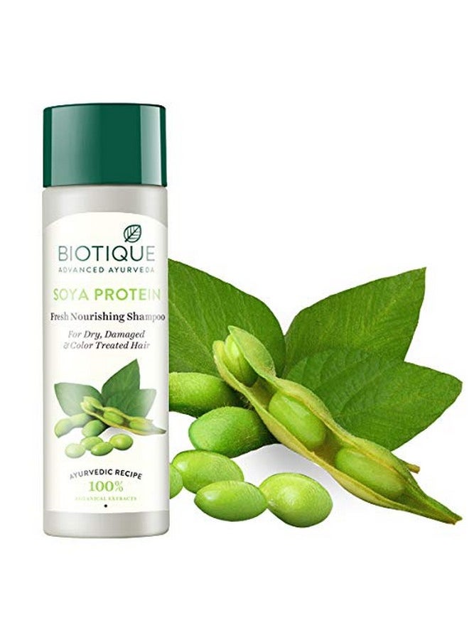 Biotique Bio Soya Protein Fresh Nourishing Shampoo For Dry Damaged & Color Treated Hair 120 Ml/ 4.05 Oz.