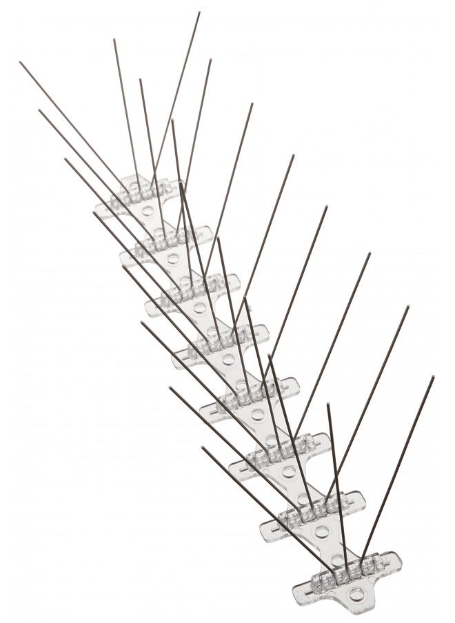 Bird B Gone Stainless Steel Bird Spikes - 6 ft Box