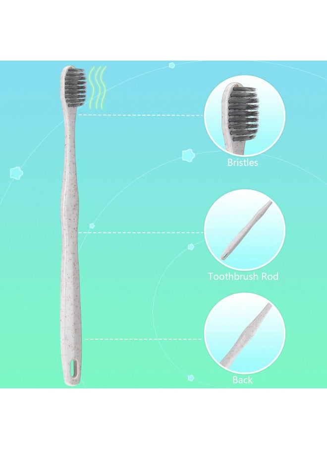 2 Pcs Standard Teeth Model Denture Model Teeth Teaching Model Adult Standard Demonstration Teeth Model with Toothbrush for Kids Teaching Supplies