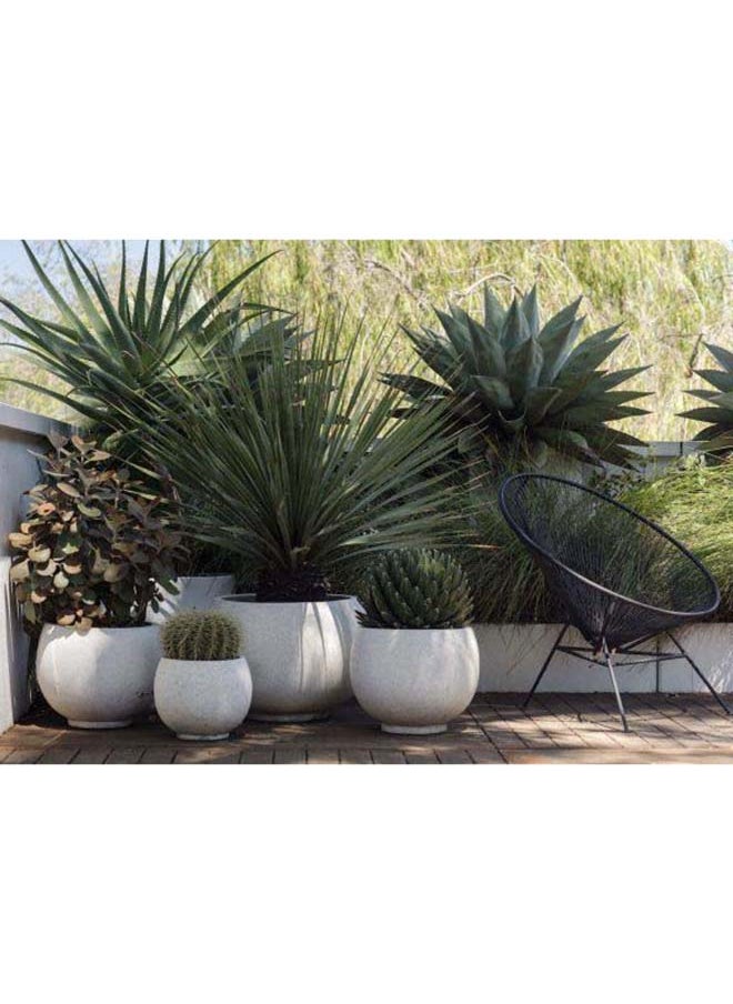 Zembla Round Pot (L)-Off White