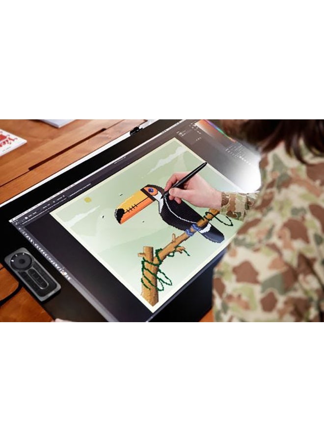 Cintiq Pro 24 Pen Input Only Graphic Tablet Black