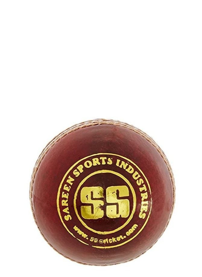 SS Club Leather Cricket Ball Red