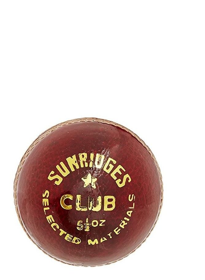 SS Club Leather Cricket Ball Red