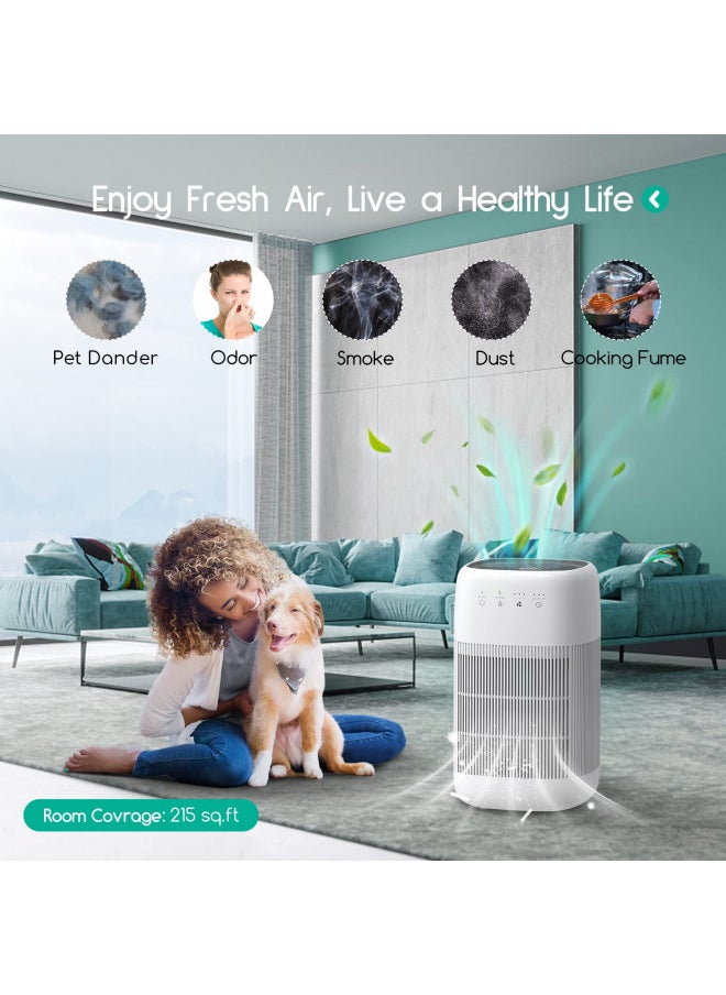 Afloia Air Purifier and Dehumidifier in 1, True HEPA Air Purifier with H13 HEPA Filter, Small Dehumidifier Combined with Air Cleaner, Remove Pet Odors Dust Smoke for Home, Bedroom, Bathroom