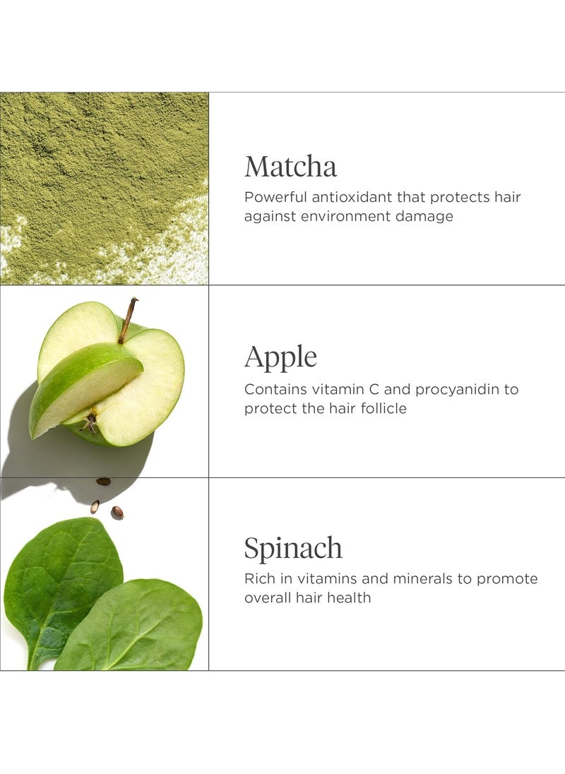 Superfoods Matcha and Apple Replenishing Shampoo Supports Healthy Balanced Hair and Scalp Vegan Phalate and Paraben Free  369ml