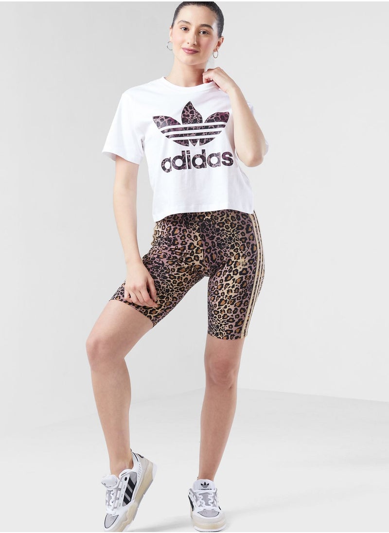 Trefoil T-Shirt