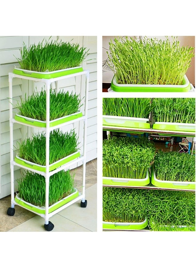 4 Layers Sprout Trays with Extra Strength Plastic Shelf Soil-Free Healthy Wheatgrass Seeds Grower  Storage Trays for Garden Home Office