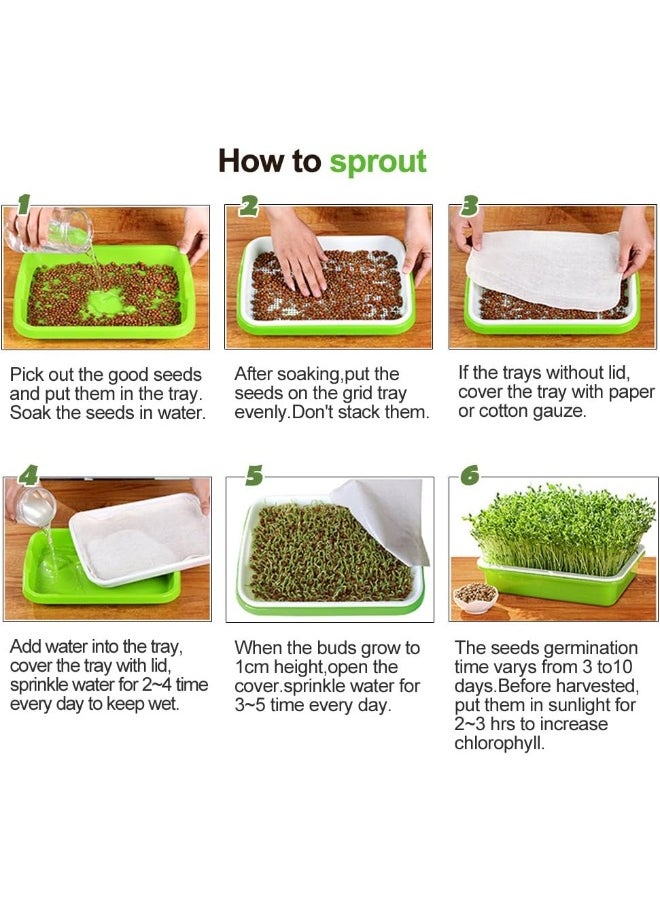 4 Layers Sprout Trays with Extra Strength Plastic Shelf Soil-Free Healthy Wheatgrass Seeds Grower  Storage Trays for Garden Home Office