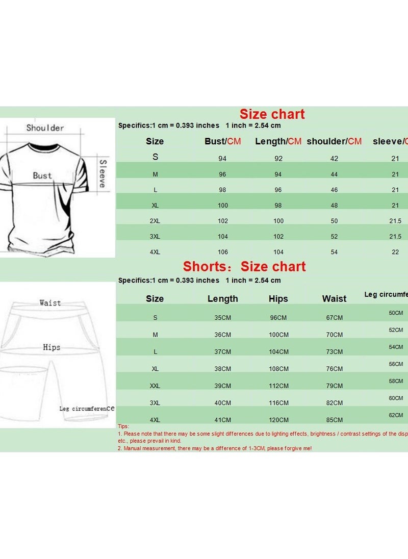 2024 New Short Sleeved T-shirt Casual Sports Set