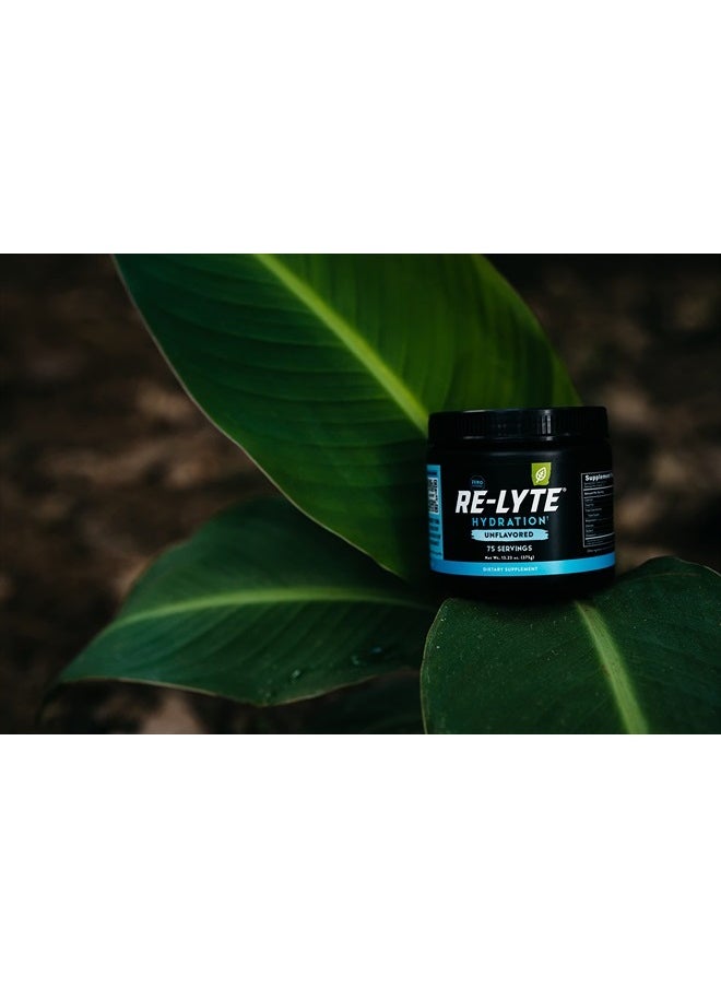 Re-Lyte Hydration Electrolyte Mix (Unflavored)