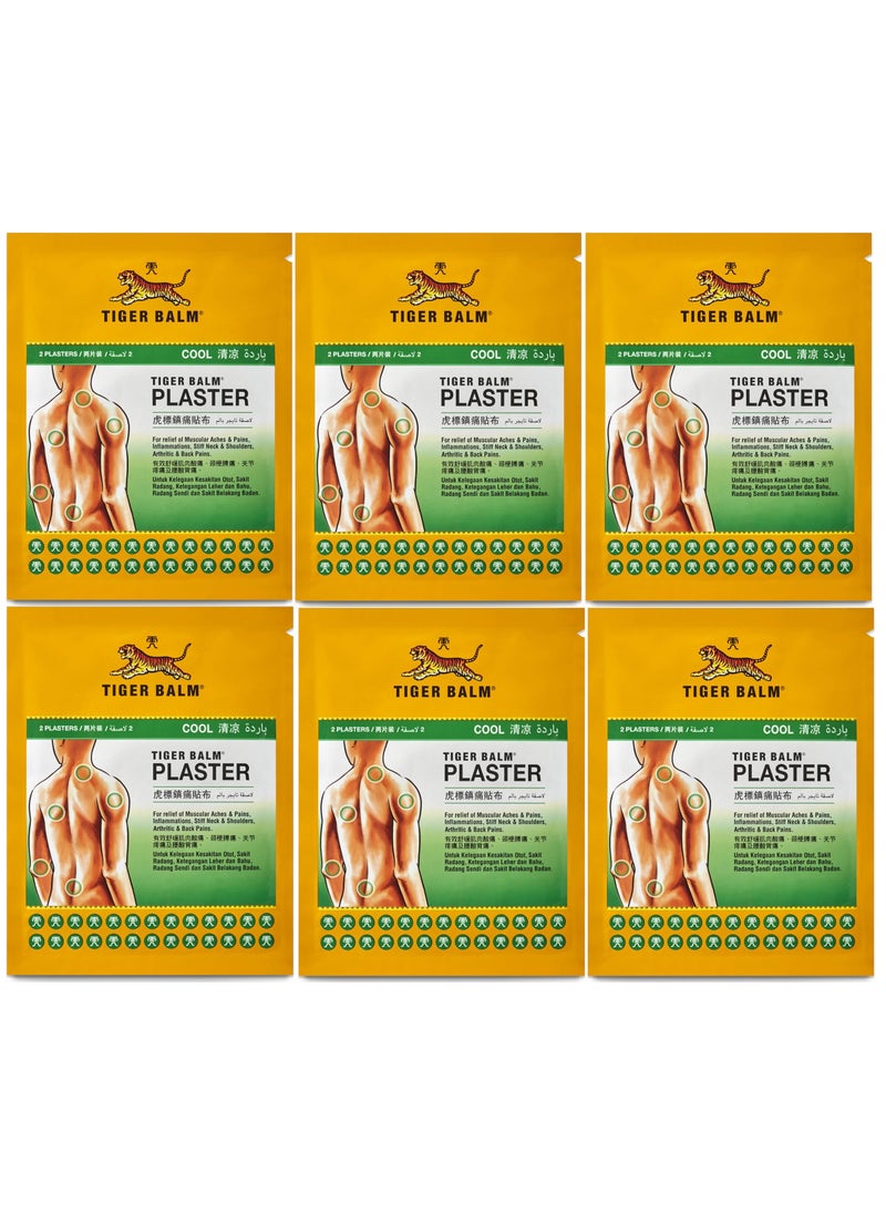 Cool Pain Relief Medicated Plaster Large Size (Pack of 6)