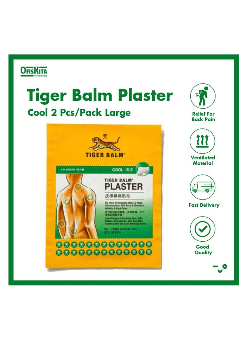 Cool Pain Relief Medicated Plaster Large Size (Pack of 6)