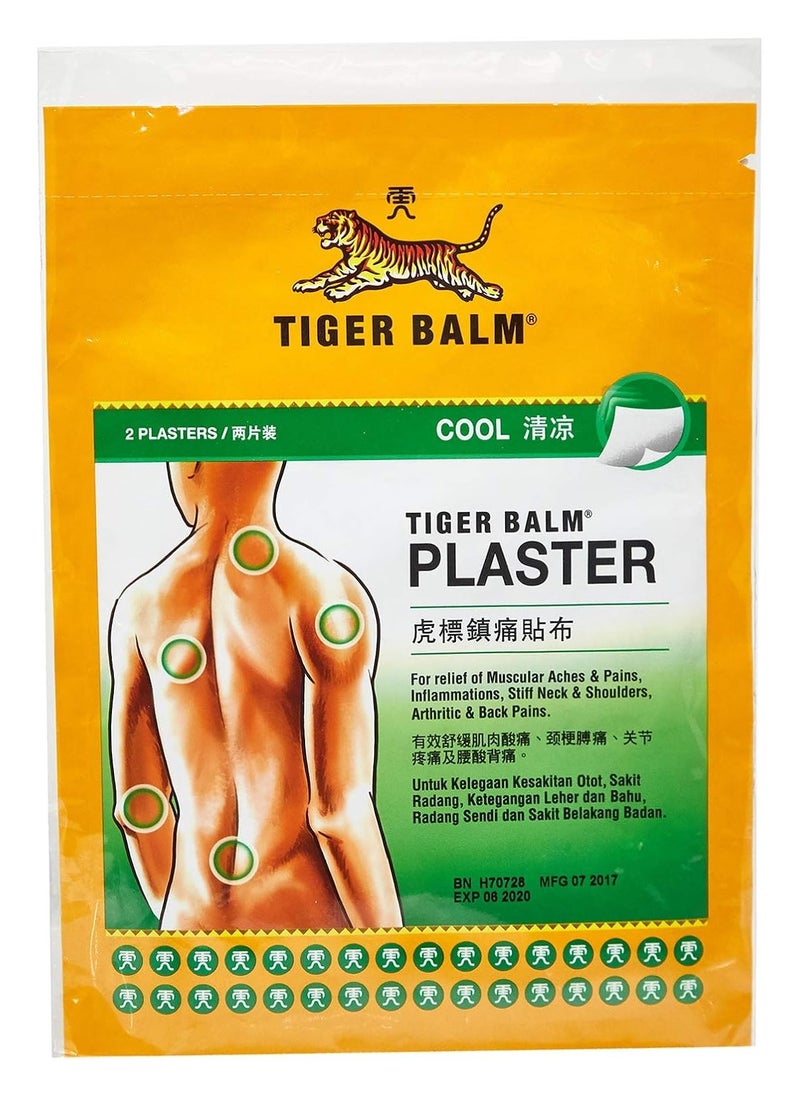 Cool Pain Relief Medicated Plaster Large Size (Pack of 6)