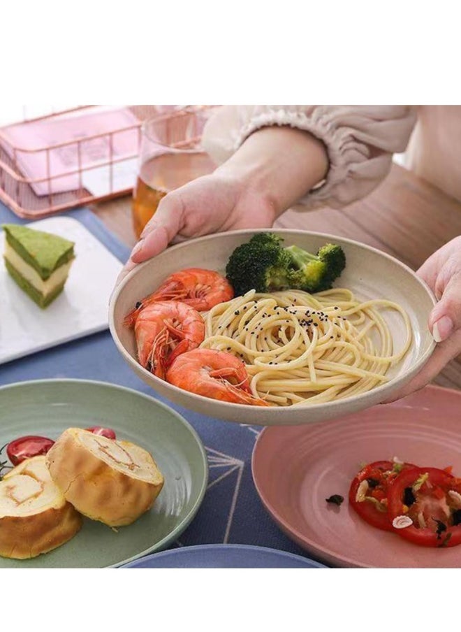 Unbreakable Wheat Straw Plates 9 inch, Reusable Large Plates Set of 4, Dishwasher Safe Easy to Clean BPA Free, Perfect for Kitchen Outdoor Picnic Plates