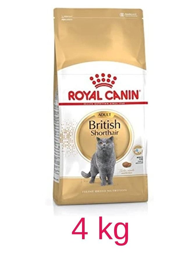 Royal Canin B&K Feline Breed Nutrition Persian Adult 4Kg Cat Dry Food