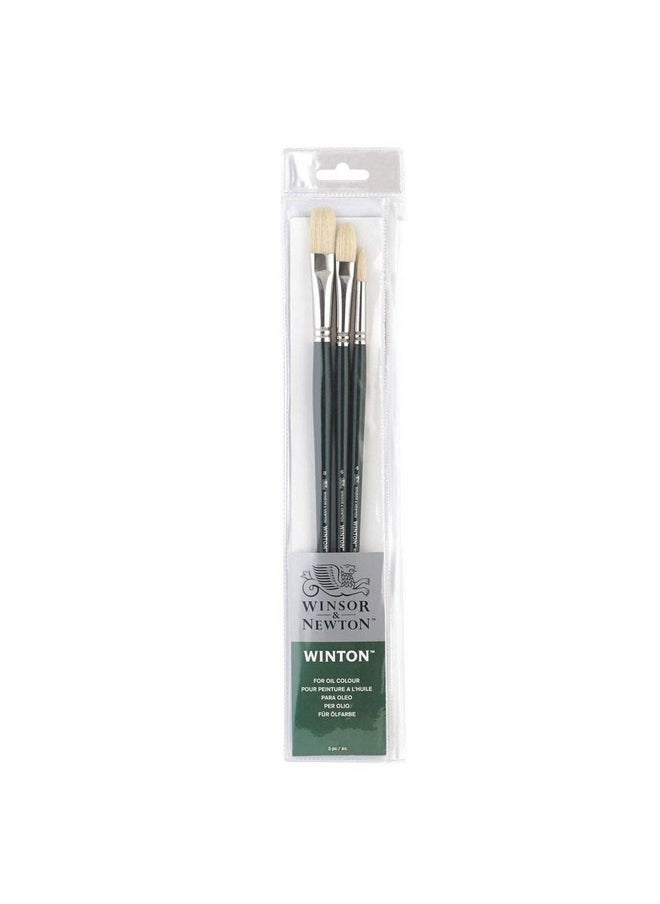 Winton Hog Bristle Brush - Assorted Set- Long Handle - Pack Of 3