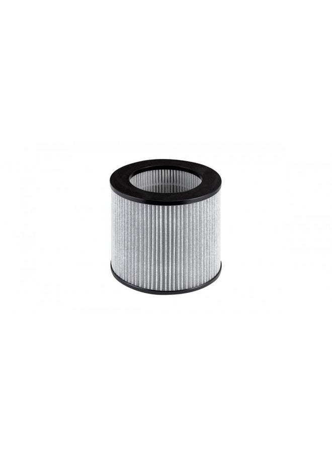 BISSELL (2801 MYair Personal Air Purifier Replacement Filter, 1 Count (Pack of 1)