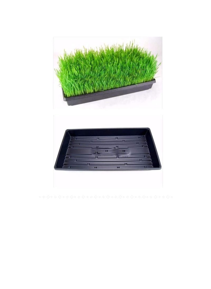 Pack of 10 Reusable Thick Seed Starter Trays Strong Plant Growing Kit Without Drain Holes for Cloning Gardening Countertop Sprouts Herbs