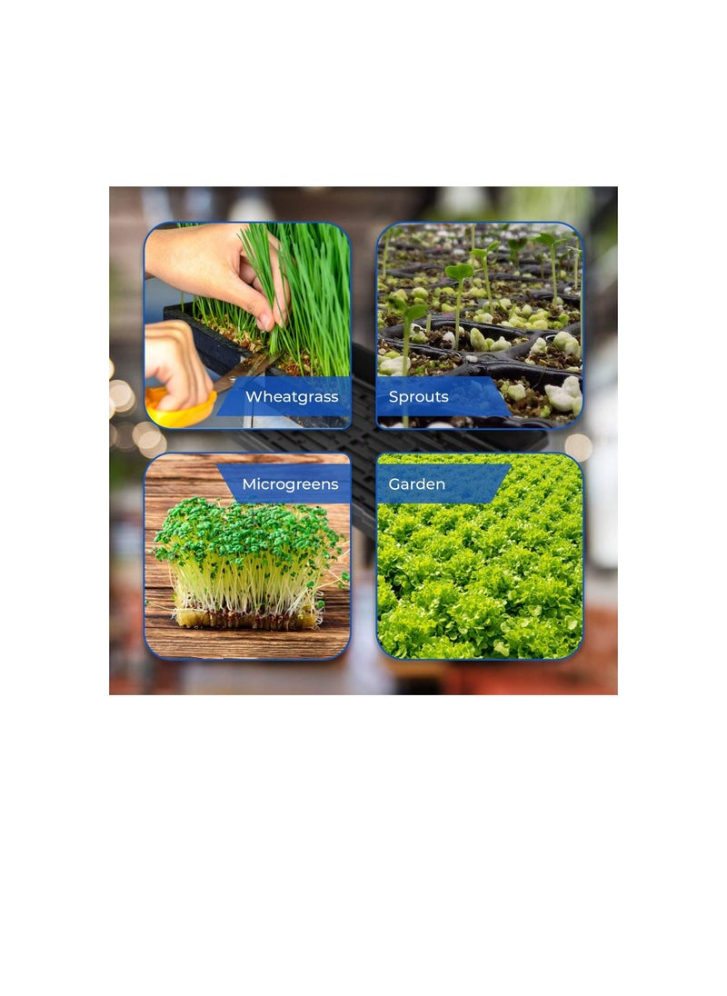 Pratico Outdoors Seed Starter and Plant Propagation Tray, No Drain Holes, 10 x 20 inch, 5 Pack