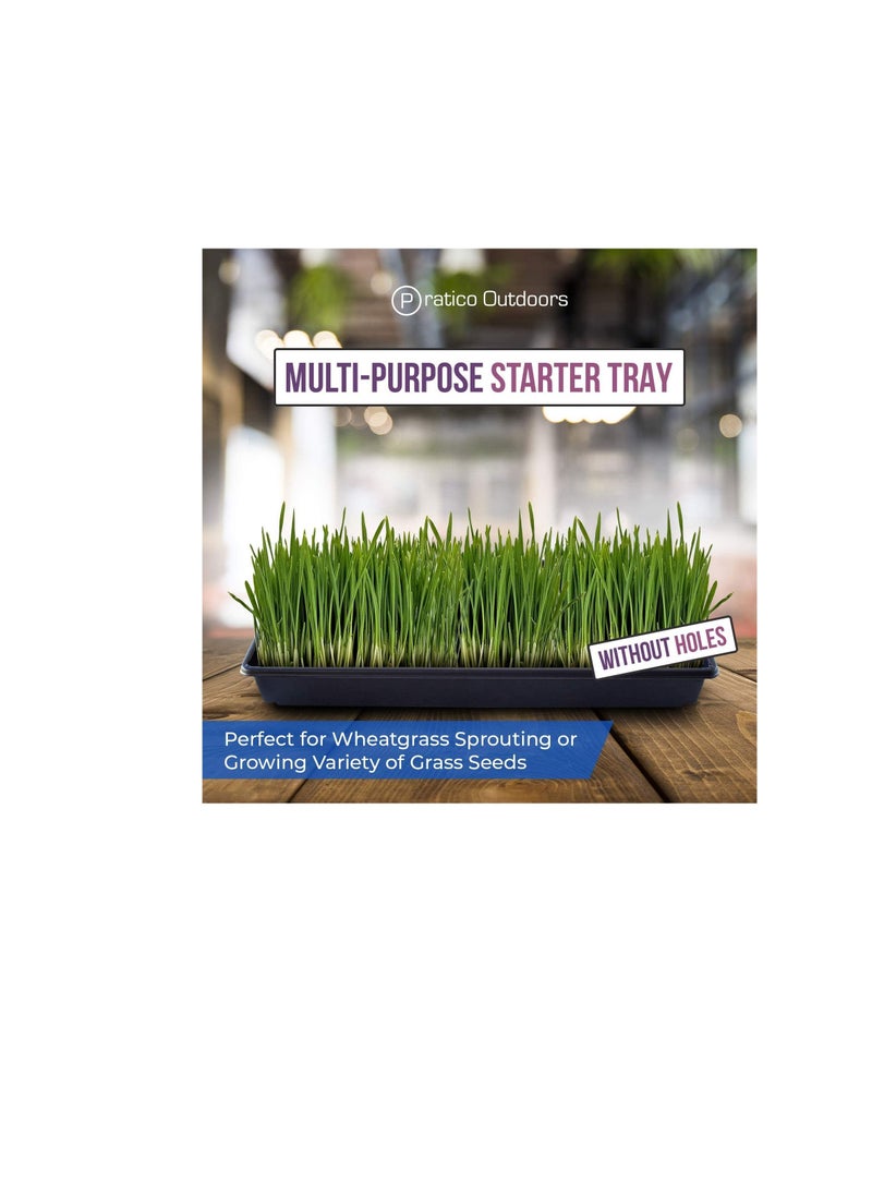 Pratico Outdoors Seed Starter and Plant Propagation Tray, No Drain Holes, 10 x 20 inch, 5 Pack