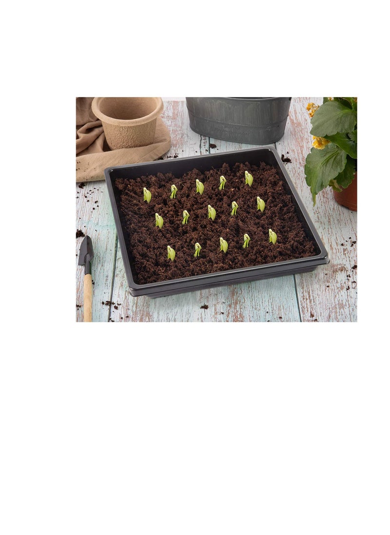 Plant Germination Trays -10 Pcs 10.6*10.6