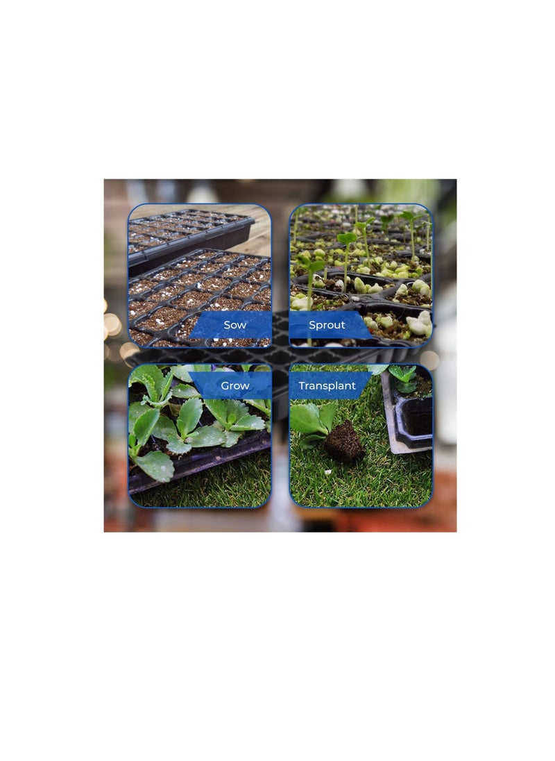 Seedling Starter Trays - 50 Cells - 5 Pack